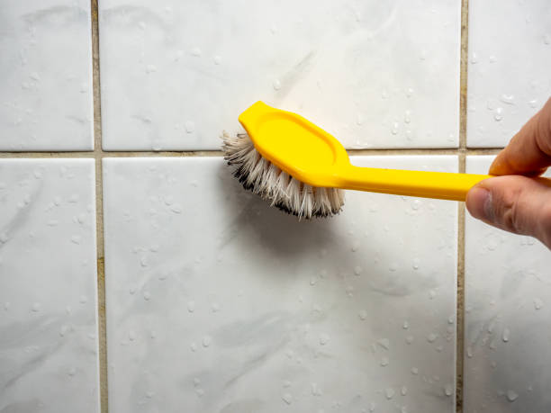 Best Emergency Mold Removal  in New Egypt, NJ