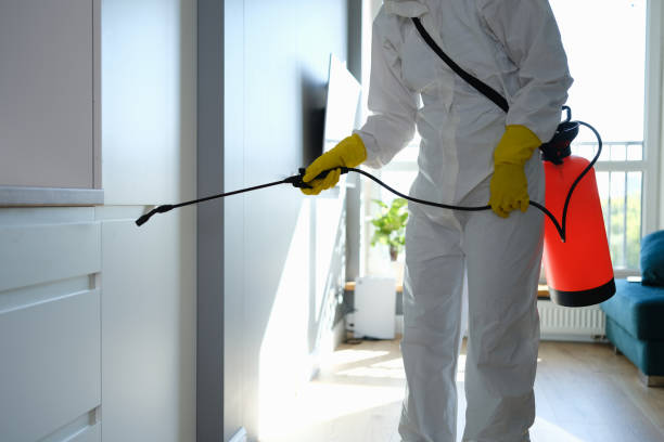 Best Mold Removal Near Me  in New Egypt, NJ