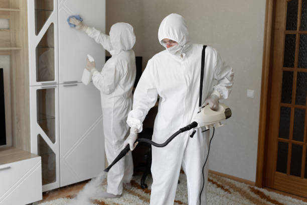 Best Local Mold Removal Service  in New Egypt, NJ