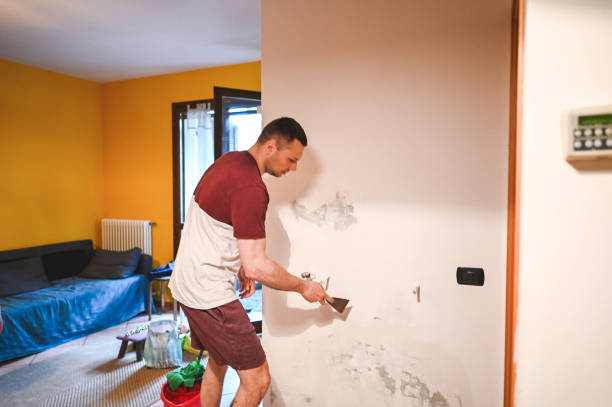 Best Office Mold Removal Services  in New Egypt, NJ